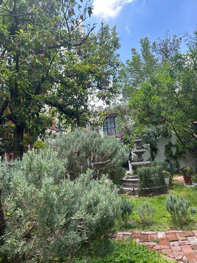 Casa Matia Bed And Breakfast San Miguel de Allende Zewnętrze zdjęcie